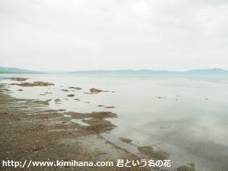 �T���}�Ί���