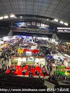 �D�y���[�^�[�V���[���