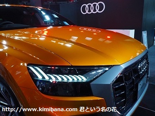 �A�E�f�B�O