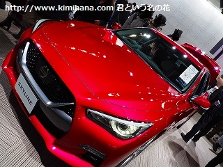 �X�J�C���C��