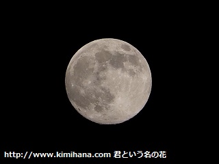 �X�[�p�[���[��