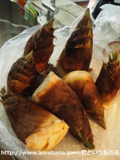 �����̂�2