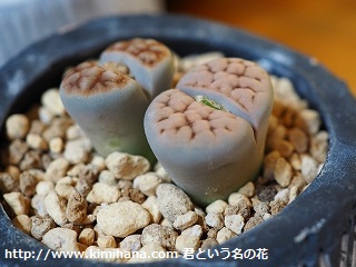 �����A��