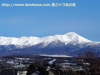 �\���x�A��1