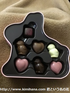 �S�f�B�o�ʓ��肤�����`���R