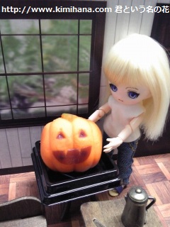 ���ڂ���a�َq