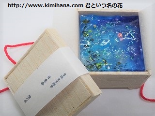 �a�َq�ؔ����g