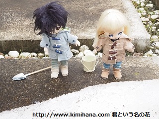 �A�N�n���̐�V��4